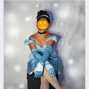 Cinderella Adult costume
